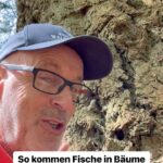 Peter Wohlleben