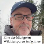 Peter Wohlleben