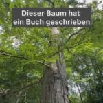 Peter Wohlleben