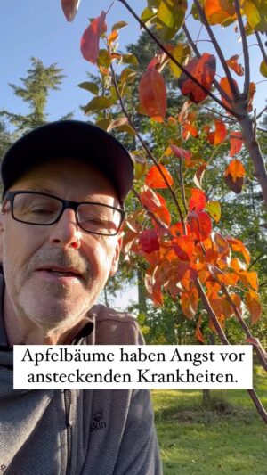 Peter Wohlleben Instagram - Obstbäume haben Angst vor ansteckenden Krankheiten. #bäume #baum #apfelbaum #wohllebenswaldakademie #peterwohlleben #natur #herbst #rot