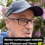 Peter Wohlleben