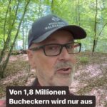 Peter Wohlleben
