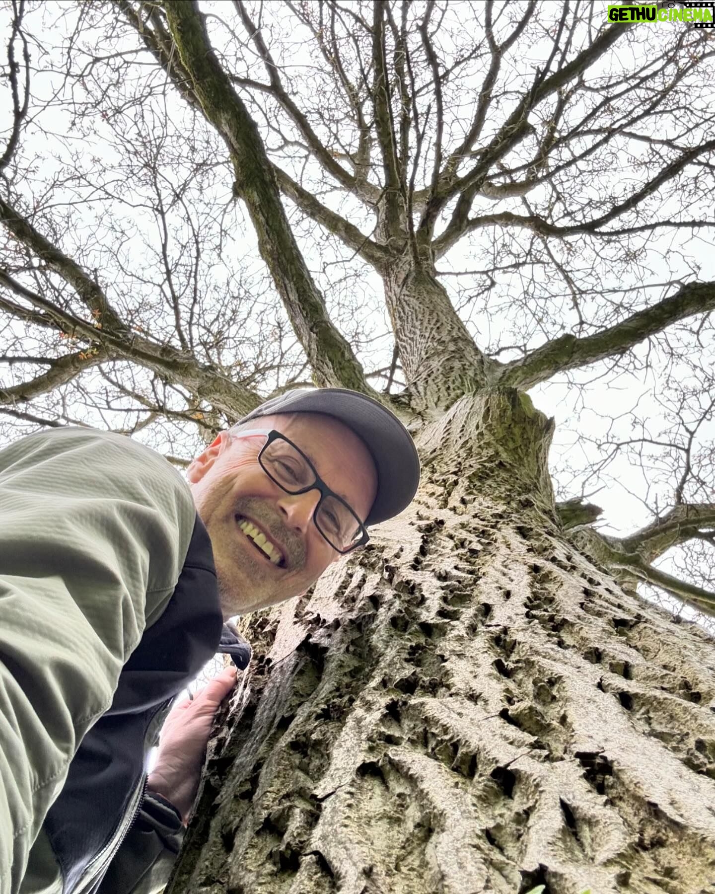 Peter Wohlleben - 20.6K Likes - Bild eins: Baum sechs Jahre alt, Peter sechs Jahre alt. Bild zwei: Baum 59 Jahre alt, Peter 59 Jahre alt.😊❤️ #tree #treehugger #naturelovers #waldliebe #bäume #baum #wohllebenswaldakademie #wohllebenswelt #wald #naturliebe #garten #bäumepflanzen