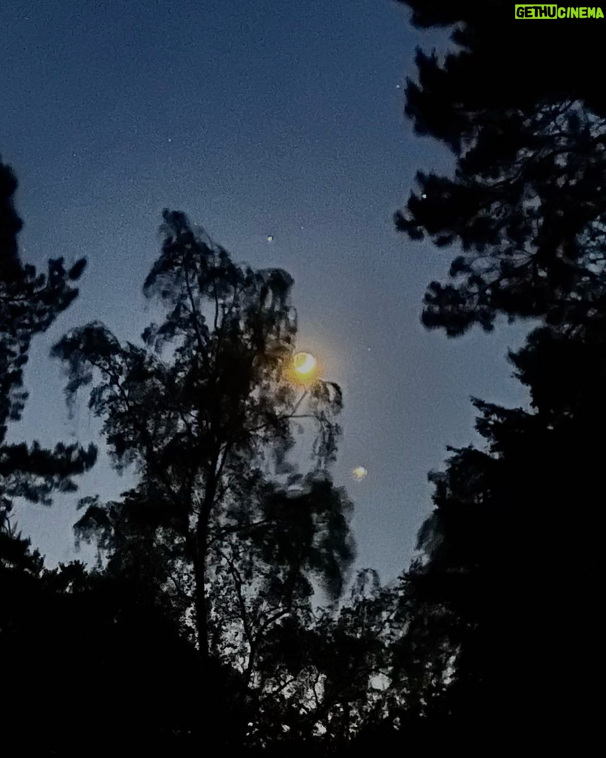 Peter Wohlleben - 6K Likes - Ich schaue gerade aus dem Schlafzimmerfenster unseres einsamen Forsthauses auf den Mond und rechts unterhalb auf die Venus. Die kleine Kugel im Weltall ist unser Schwesterplanet. Der Unterschied: Ihre Atmosphäre besteht überwiegend aus CO2, die Temperatur liegt deshalb zwischen 400 und 500 Grad. Wenn ich so auf dieses Pünktchen schaue, dann bin ich dankbar, dass bei uns die Bedingungen besser sind. Ich wünsche mir nur mehr intelligentes Leben, damit das auch so bleibt. #earth #climatechange