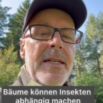 Peter Wohlleben