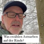 Peter Wohlleben