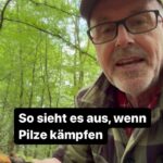 Peter Wohlleben