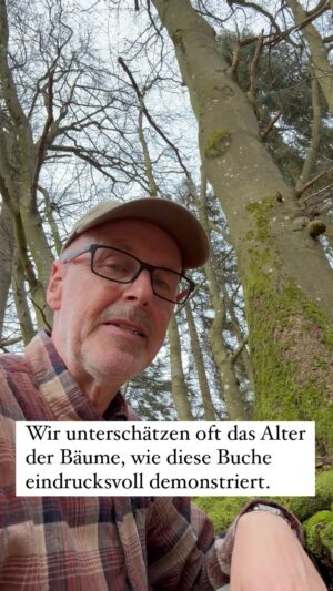 Peter Wohlleben Instagram - Wir unterschätzen oft das Alter der Bäume. An dieser Buche sieht man sehr schön, dass Bäume viel älter sein können, als sie scheinen. #wald #bäume #naturelovers #natur #baum #wohllebenswaldakademie #wohllebenswelt #naturwunder #waldliebe #treehugger #frühling