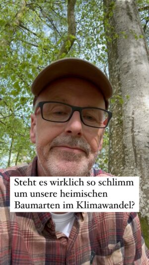 Peter Wohlleben Instagram - Eine neue Studie besagt, dass es immer weniger heimische Baumarten draußen im Wald schaffen. Ist wirklich der Wald gefährdet oder in erster Linie die herkömmliche Forstwirtschaft?
https://www.nature.com/articles/s41559-024-02406-8
#wald #forstwirtschaft #bäume #baum #klima #hoffnung #zuversicht #wohllebenswaldakademie #wohllebenswelt #tree #naturliebe #waldbaden #waldmedizin #garten #outdoor