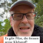 Peter Wohlleben