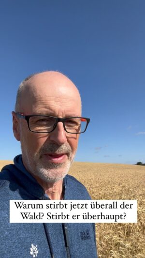 Peter Wohlleben Instagram - Klimawandel oder Forstwirtschaft: Was ist die Ursache des aktuellen Waldsterbens? #wald #bäume #waldliebe #wohllebenswaldakademie #peterwohlleben