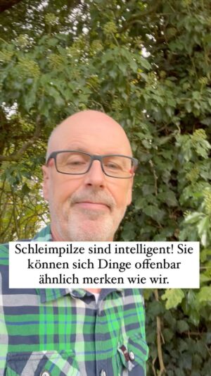 Peter Wohlleben Instagram - Schleimpilze sind intelligent! Sie können sich Dinge offenbar ähnlich merken wie wir. Und sie sind ganz leicht zu Hause zu halten und lassen sich bei ihrem Treiben prima beobachten. #natur #wald #faszinierend #umwelt