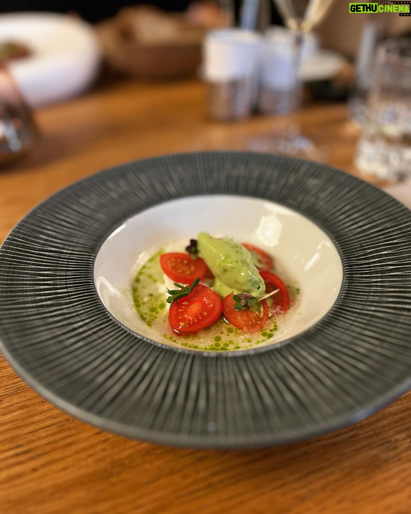 Petra Vindyšová - 101 Likes - Dnes bych Vám chtěla ukázat kousek fakt dobrý gastronomie.
Dostala jsem pozvání na letní menu v @vzatisi_restaurant , které nás nadchlo svou svěžestí, krásnou prezentací, řemeslnou dokonalostí a takovým tím “fištrónem”, kdy věci dávají smysl od předkrmu po dezert.
Jedná se o krásný letní menu, ke kterému dostanete láhev šampaňského pro dva a bude k dostání po zbytek léta. A my si doma říkali, že bychom to rádi stihli ještě jednou.
Byl to fakt krásný večer i díky neskutečně milému personálu, který se o nás hezky staral a toho si moc vážím.
Je skvělý ochutnávat jídlo s někým, kdo tomu nejen rozumí, ale sám také umí zavařit pecky.
Tentokrát jsme se s @vosmazil shodli, že to bylo fakt super!
#barter #zatisigroup #foodie #chefslife #gastro #foodporn #champagne #díky