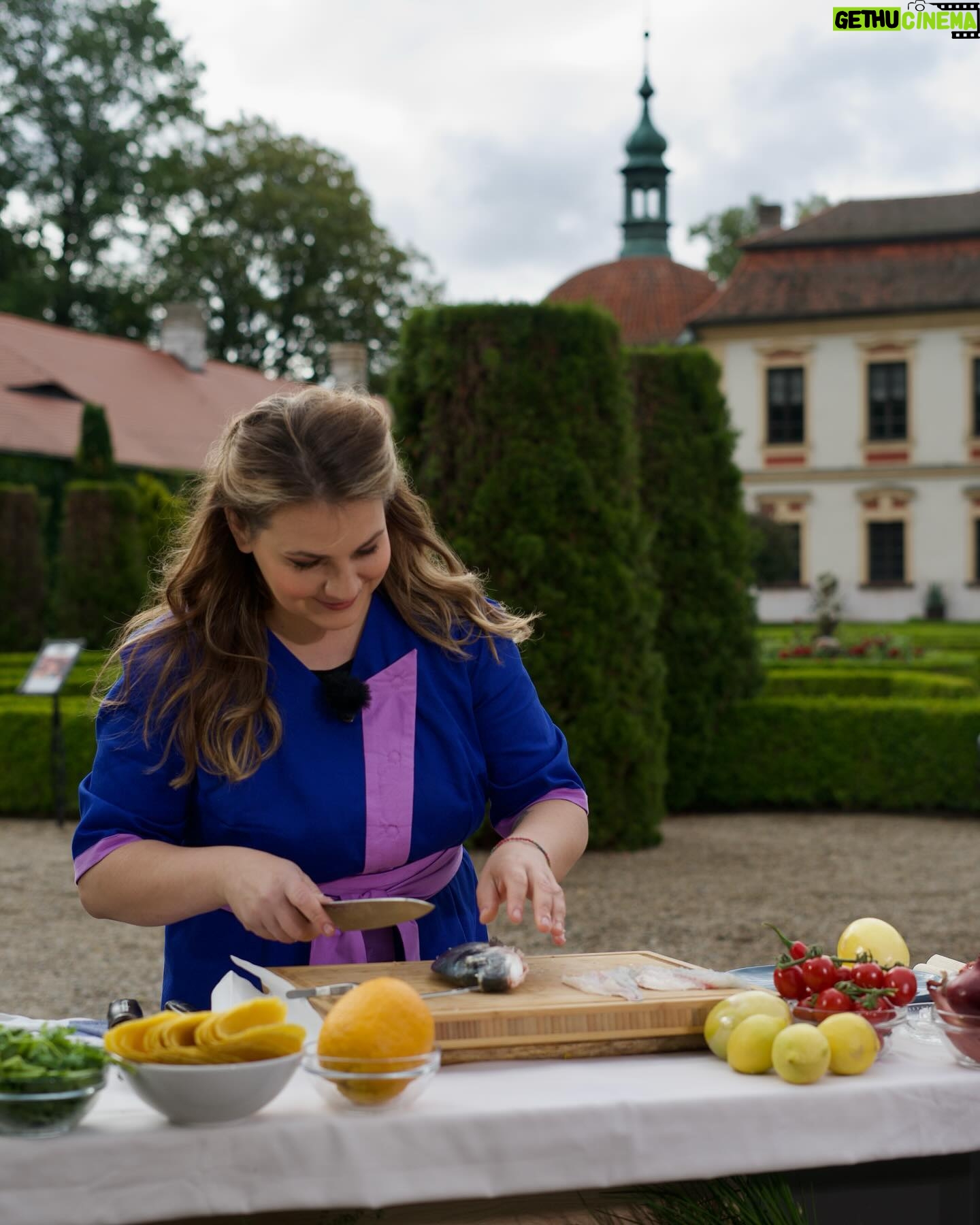 Petra Vindyšová - 372 Likes - Tip na horké dny od Péti 👀. Připravte si svěží pokrm ceviche, recept a další inspiraci najdete na profilu @petra_vindysova 😍