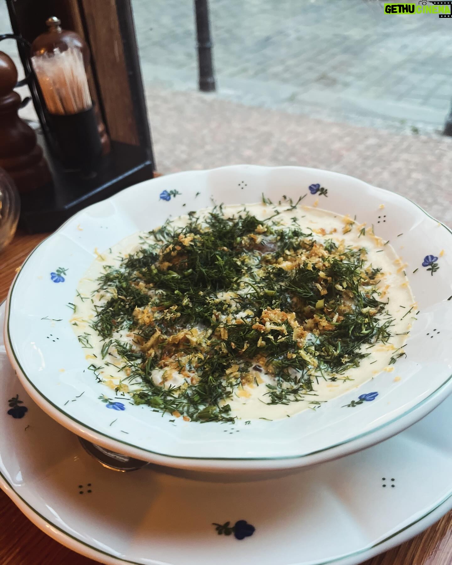 Petra Vindyšová - 87 Likes - Restaurace @umatejekotrby_restaurant je milý místo v srdci Prahy, který se interiérem blíží vnitřku krásný roubený chaloupky ve středních Čechách. Ihned se Vás ujme velmi milý a usměvavý personál a hezký večer může začít.
Dostala jsem info, že umí moc dobrý koktejly, jelikož se jedná o fúzi restaurace a baru v klubovém stylu. Tudíž jsme naši návštěvu odstartovali chutnými aperitivy v podobě lahodných drinků 🍹
Můj kluk je vegetarián - občasný pescetarián (někdy sní 🐟) a proto nás v menu příjemně překvapilo docela bohaté zastoupení vege pokrmů. Variace naložených sýru jako předkrm a famózní koprovka s vajíčkem jako hlavák byly jasná volba 🍀♥️
Má volba padla na předkrm v podobě smažených vepřových oušek s rybí omáčkou - což byla upřímně taková chuťová petarda, až jsem si říkala ,že bude těžký tuhle chuťovku k pivku překonat. Dokonce můj pecetarián prohlásil, že to voní jako božská Mana a zabijačka v jednom♥️ Jako hlavní chod jsem si vybrala stařený steak s omáčkou demi-glace, brambory a divokou brokolicí. To je moje nejvíc milovaná kombinace a všechno jídlo bylo úplně skvělý 🥩♥️
Pochutnali jsme si královsky. Skvělý pan vrchní nás ještě zavedl na kouzelnou zahrádku uvnitř vnitrobloku, kterou by člověk takhle v srdci Prahy úplně nečekal. Na teplý letní večery v doprovodu skvělýho drinku je jako dělaná 🌱
Moc děkujeme za pozvání a už se těšíme, až se zase uvidíme! ♥️
#foodie #couple #foodporn #chefslife #recenze #pozvanka #restaurant