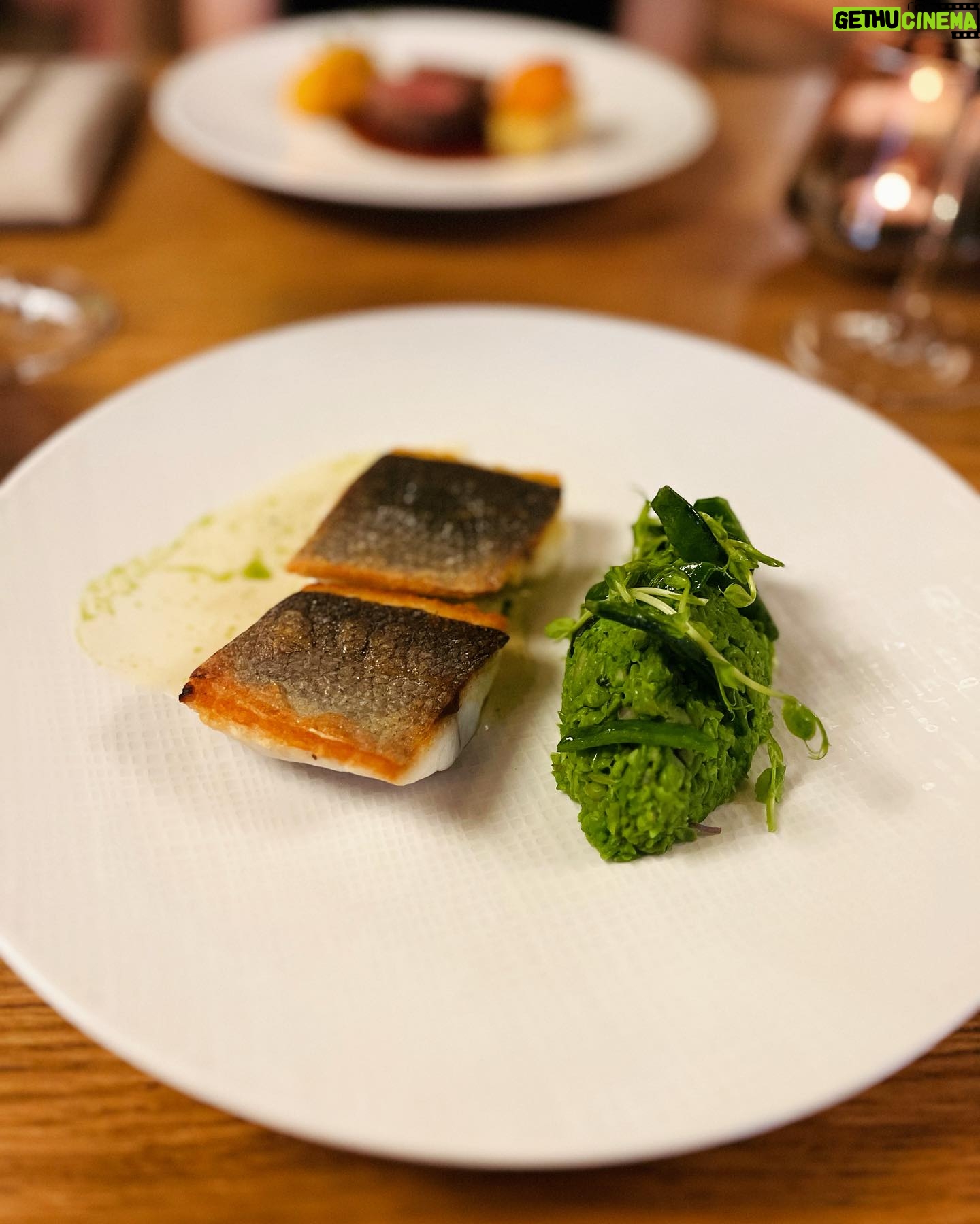 Petra Vindyšová - 101 Likes - Dnes bych Vám chtěla ukázat kousek fakt dobrý gastronomie.
Dostala jsem pozvání na letní menu v @vzatisi_restaurant , které nás nadchlo svou svěžestí, krásnou prezentací, řemeslnou dokonalostí a takovým tím “fištrónem”, kdy věci dávají smysl od předkrmu po dezert.
Jedná se o krásný letní menu, ke kterému dostanete láhev šampaňského pro dva a bude k dostání po zbytek léta. A my si doma říkali, že bychom to rádi stihli ještě jednou.
Byl to fakt krásný večer i díky neskutečně milému personálu, který se o nás hezky staral a toho si moc vážím.
Je skvělý ochutnávat jídlo s někým, kdo tomu nejen rozumí, ale sám také umí zavařit pecky.
Tentokrát jsme se s @vosmazil shodli, že to bylo fakt super!
#barter #zatisigroup #foodie #chefslife #gastro #foodporn #champagne #díky