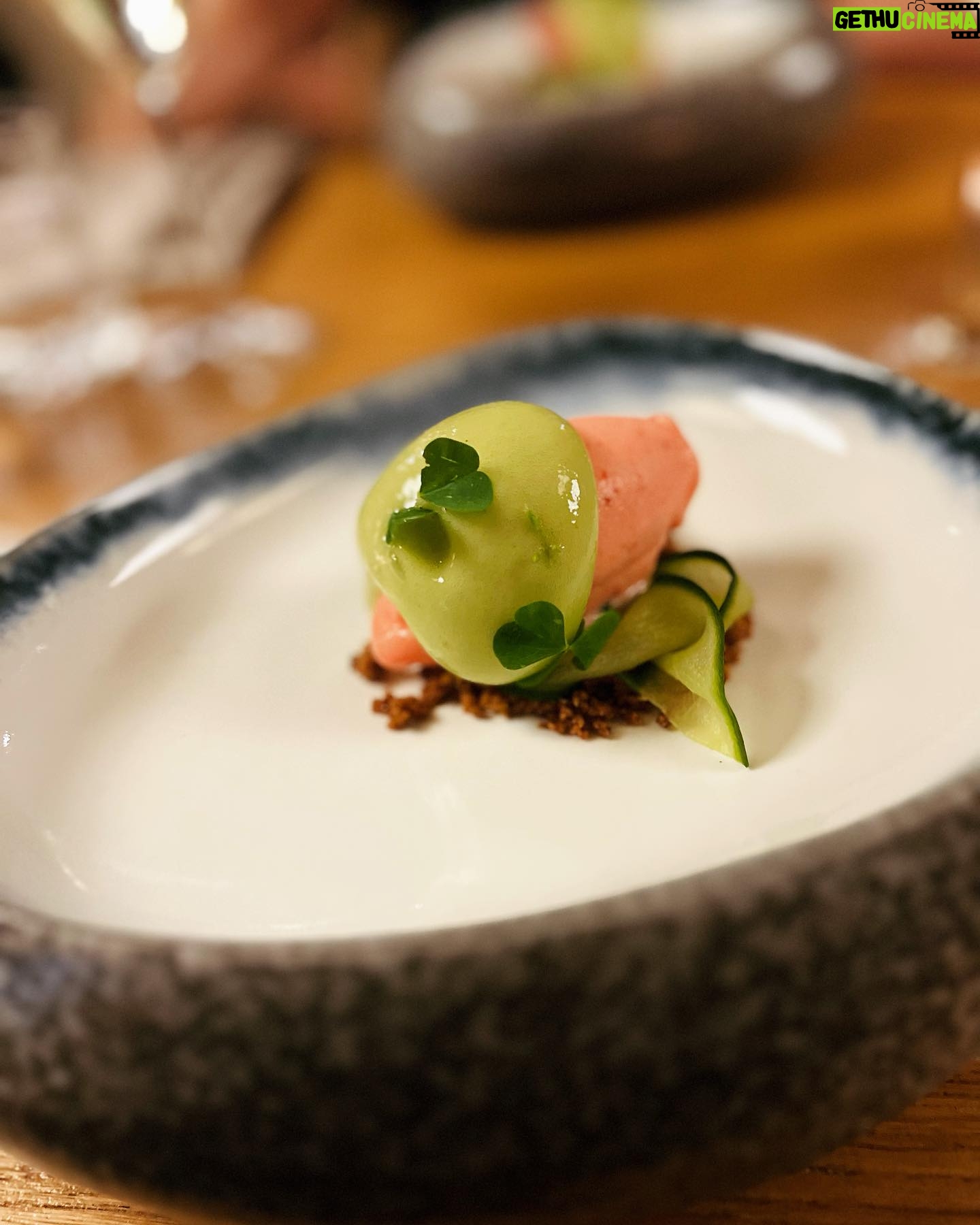 Petra Vindyšová - 101 Likes - Dnes bych Vám chtěla ukázat kousek fakt dobrý gastronomie.
Dostala jsem pozvání na letní menu v @vzatisi_restaurant , které nás nadchlo svou svěžestí, krásnou prezentací, řemeslnou dokonalostí a takovým tím “fištrónem”, kdy věci dávají smysl od předkrmu po dezert.
Jedná se o krásný letní menu, ke kterému dostanete láhev šampaňského pro dva a bude k dostání po zbytek léta. A my si doma říkali, že bychom to rádi stihli ještě jednou.
Byl to fakt krásný večer i díky neskutečně milému personálu, který se o nás hezky staral a toho si moc vážím.
Je skvělý ochutnávat jídlo s někým, kdo tomu nejen rozumí, ale sám také umí zavařit pecky.
Tentokrát jsme se s @vosmazil shodli, že to bylo fakt super!
#barter #zatisigroup #foodie #chefslife #gastro #foodporn #champagne #díky