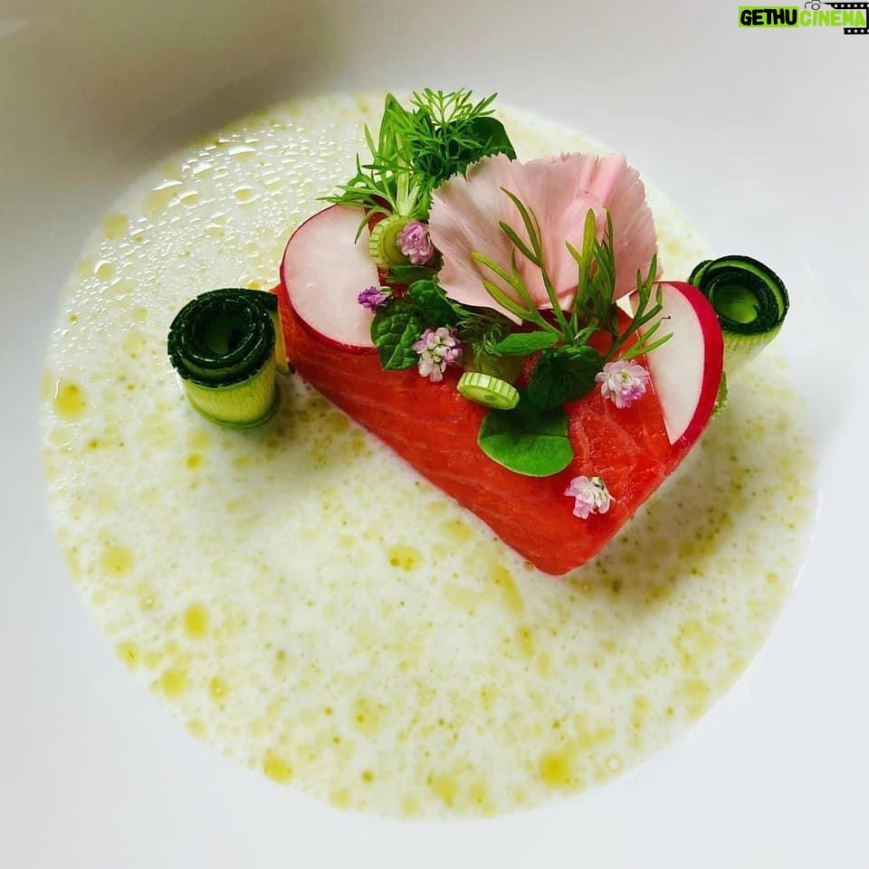 Petra Vindyšová - 693 Likes - Občas si dělám takovéhle radosti, když mám tvořivou náladu. Gravlax z lososa marinovaného v láku z červené řepy, omáčka z podmáslí a domácího petrželového oleje.
Tohle mě děsně baví, ale zase se vrátíme k nějakým těm jídlům, co člověk ocení i pro rychlost jejich přípravy🙂. Ptala jsem se nedávno, co uvařit. Chtěli jste knedlíky podle naší babičky, ale můj oblíbenej člověk si nakonec vybral gnocchi.
Avšak knedlíky si uděláme o víkendu, protože já se na ně moc těším! ♥️🍀
Přeji Vám krásný pátek!
#petravari #masterchefcz #masterchef #goodvibes #homemadefood #kdyžtětobavínenícořešit #kitchenismyhappyplace #kitchenismyplayground #kitchenismyzenplace