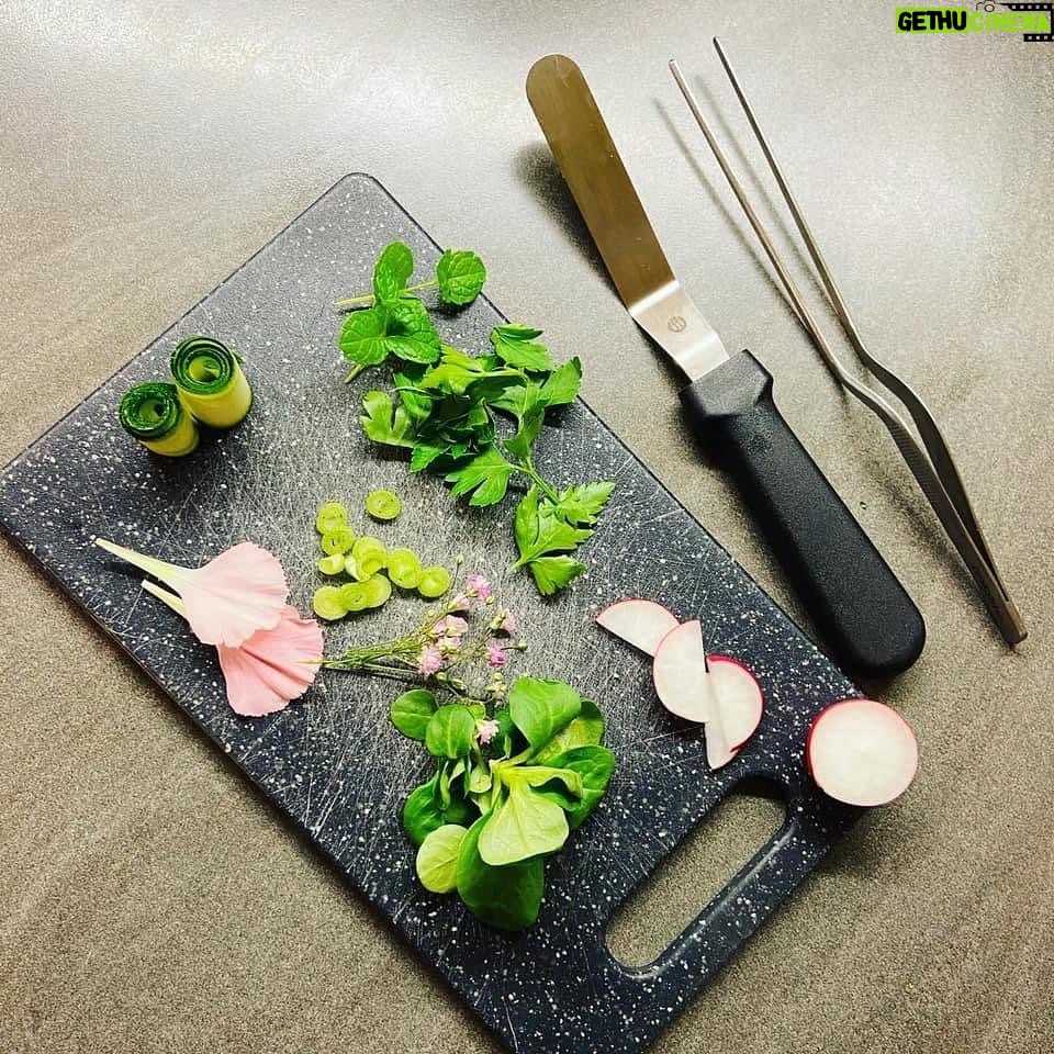 Petra Vindyšová - 693 Likes - Občas si dělám takovéhle radosti, když mám tvořivou náladu. Gravlax z lososa marinovaného v láku z červené řepy, omáčka z podmáslí a domácího petrželového oleje.
Tohle mě děsně baví, ale zase se vrátíme k nějakým těm jídlům, co člověk ocení i pro rychlost jejich přípravy🙂. Ptala jsem se nedávno, co uvařit. Chtěli jste knedlíky podle naší babičky, ale můj oblíbenej člověk si nakonec vybral gnocchi.
Avšak knedlíky si uděláme o víkendu, protože já se na ně moc těším! ♥️🍀
Přeji Vám krásný pátek!
#petravari #masterchefcz #masterchef #goodvibes #homemadefood #kdyžtětobavínenícořešit #kitchenismyhappyplace #kitchenismyplayground #kitchenismyzenplace