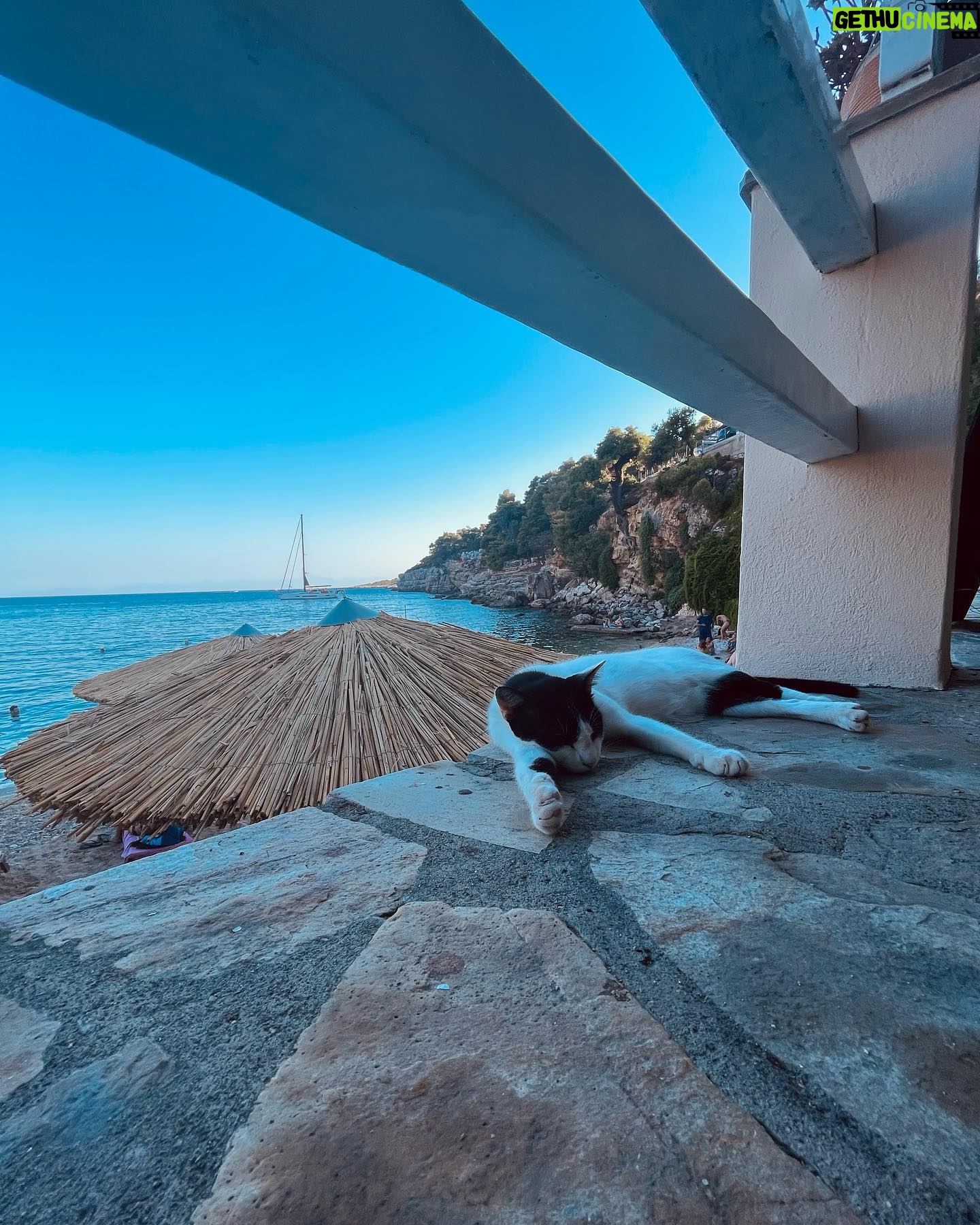 Petra Vindyšová - 96 Likes - Prázdniny u moře 🌊
#miluju #vitaminsea #sea #holiday #catslife #mámvolnoanebojímsehovyužít