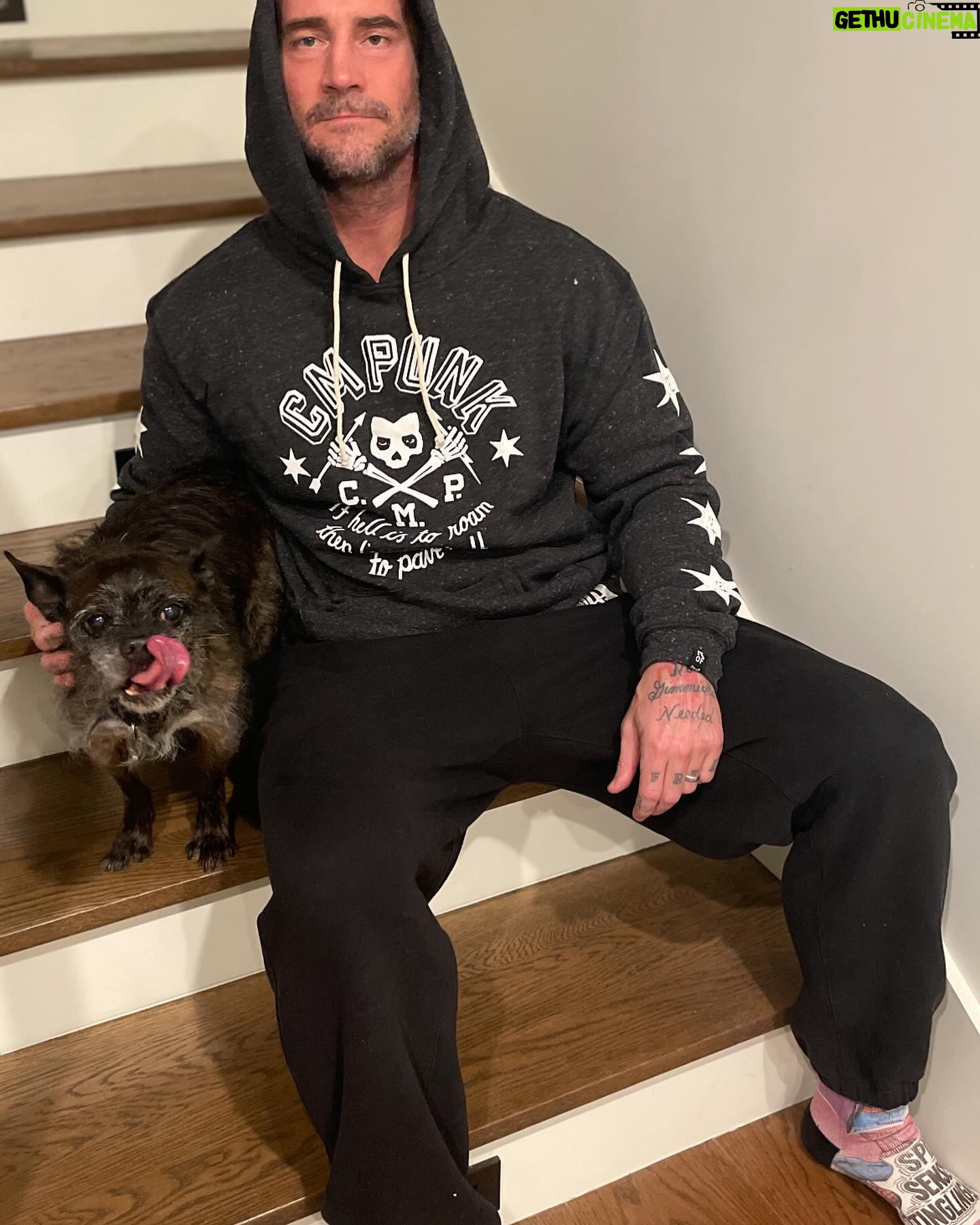 Phil Brooks - 132.1K Likes - WE’RE LIVE, PAL! Proud to now officially be a part of the @rootsoffight family! Check out the first wave of my collection as well as great stuff from legends @brethitmanhart Roddy Piper, @619iamlucha and Randy Savage! https://rootsof.co/cmpunk
