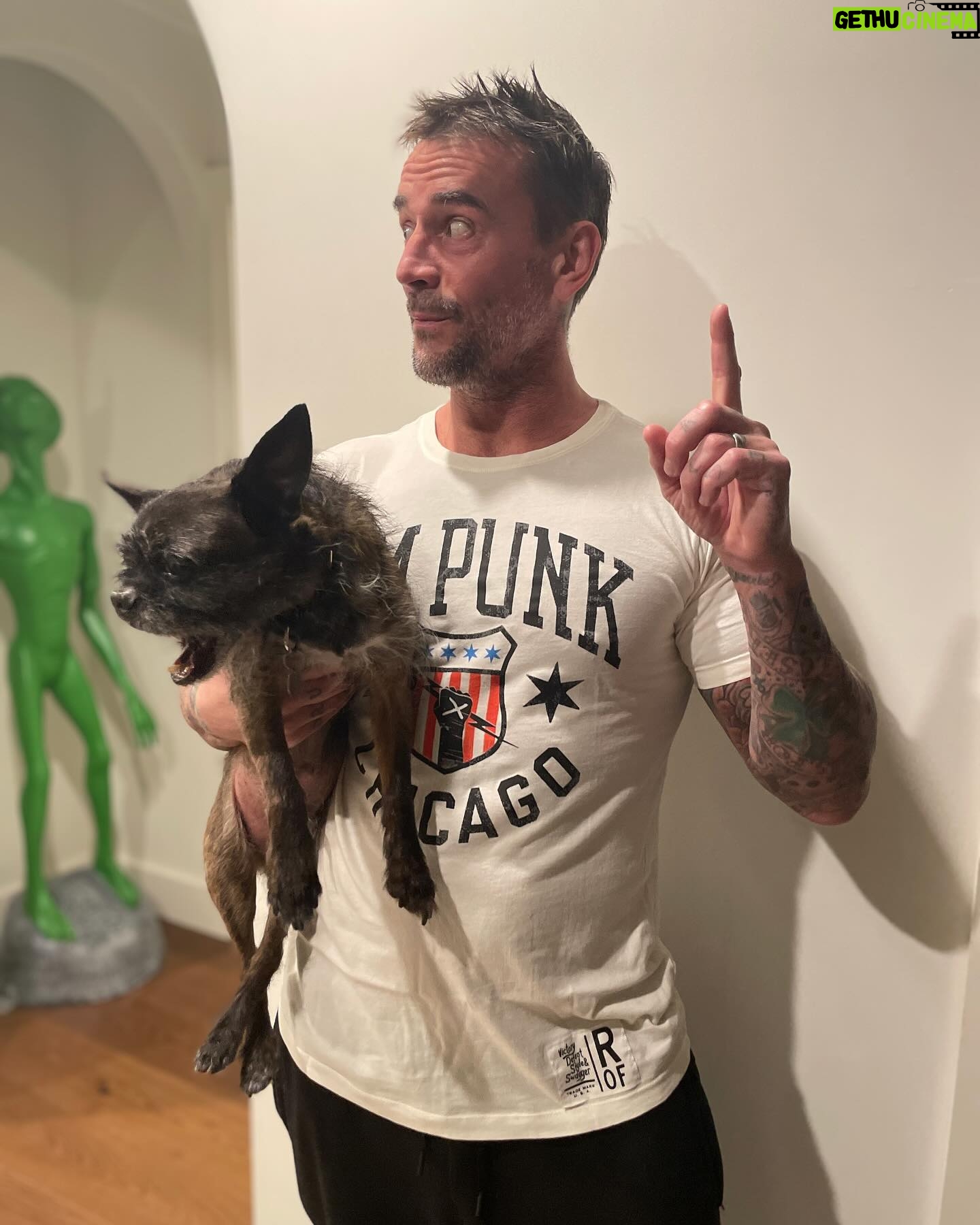 Phil Brooks - 132.1K Likes - WE’RE LIVE, PAL! Proud to now officially be a part of the @rootsoffight family! Check out the first wave of my collection as well as great stuff from legends @brethitmanhart Roddy Piper, @619iamlucha and Randy Savage! https://rootsof.co/cmpunk