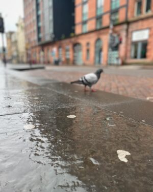 Phil Brooks Instagram - Glasgow photo dump, check story for more. Beautiful city. Thank you for the hospitality! ☘️🏴󠁧󠁢󠁳󠁣󠁴󠁿