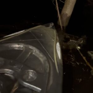 Phil Torres Instagram - Kayaking through the Georgia swamps at night is a 10/10 experience. Frogs and owls calling, moon and stars above. Oh and if you go to the last slide, snakes on branches above too!
So much history to this part of the US, thankful to be tracking down stories in much need of recognition out here for #ExpeditionX on @discovery.
The snake is a harmless rough green snake, and the frog a green tree frog.
@streamonmax @wbd #adventure #georgia #paranormal #herping