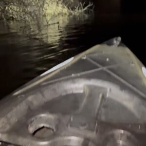 Phil Torres Instagram - Kayaking through the Georgia swamps at night is a 10/10 experience. Frogs and owls calling, moon and stars above. Oh and if you go to the last slide, snakes on branches above too!
So much history to this part of the US, thankful to be tracking down stories in much need of recognition out here for #ExpeditionX on @discovery.
The snake is a harmless rough green snake, and the frog a green tree frog.
@streamonmax @wbd #adventure #georgia #paranormal #herping