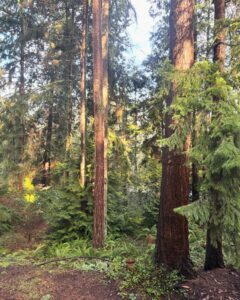 Phil Torres Instagram - Home for a quick week and enjoying all of my favorite things. Family, our little backyard forest, and the local farmer’s markets 🌿🥕
Will be spending the majority of my time on the road for the first 7 months of the year filming #ExpeditionX, so I take in every moment at our Pacific Northwest home even in this rainy season! New episodes of #ExpeditionX drop starting next week on @discovery and @streamonmax, can’t wait to show you what we got into last year it was all pretty astounding 🙌🏼