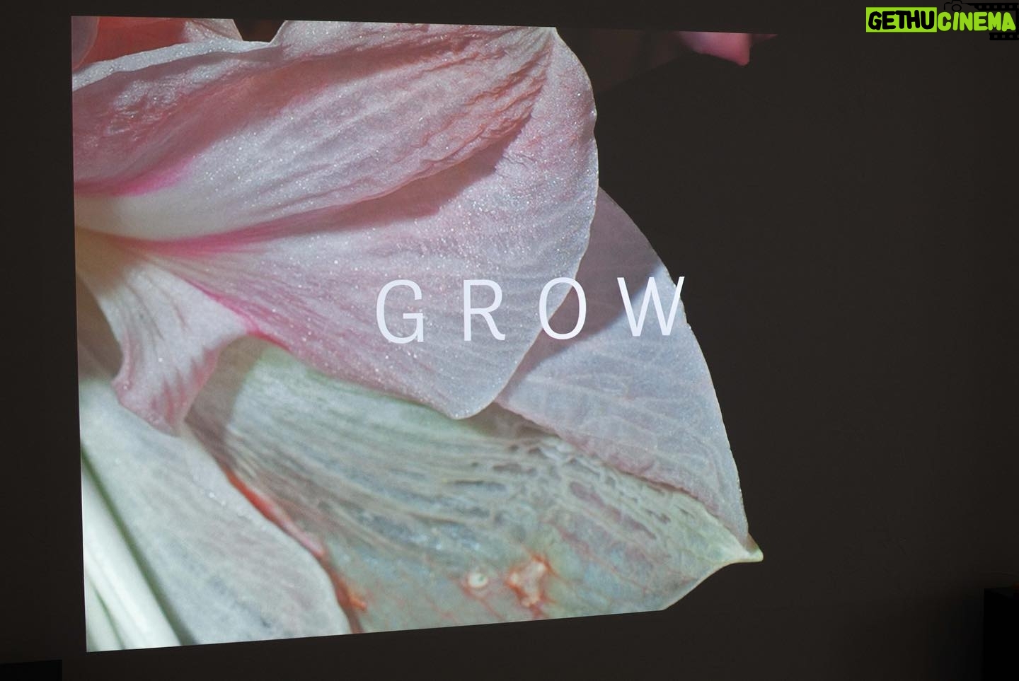 Philip Froissant - 5.1K Likes - Last year I had the opportunity to become part of this stunning project by @__vamvam__
inspired by films like ‘la jetée’ (chris marker), “Grow” is constructed only from still pictures and tells a dystopian story about resistance set in a near future world where ads can easily access one's dreams.
The film is currently exhibited at @galerie.3ap in Düsseldorf till June 12
There's also going to be a screening in Munich this Wednesday at @neuworkshop from 7-10pm, so come see us if you’re in town!
#grow #antoniameyer #short #shortmovie #lajetée #movie