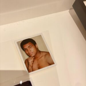 Philippe Bas Instagram - Andy Warhol. AlUla.