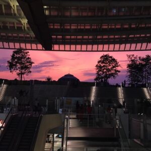 Philippine Stindel Instagram - Quand tu sors du taff après une dure journée 🌄🙏😁👍 #samedicestlamerdeaumagasin #tropdegensimpolis #reconfort #coucherdesoleil