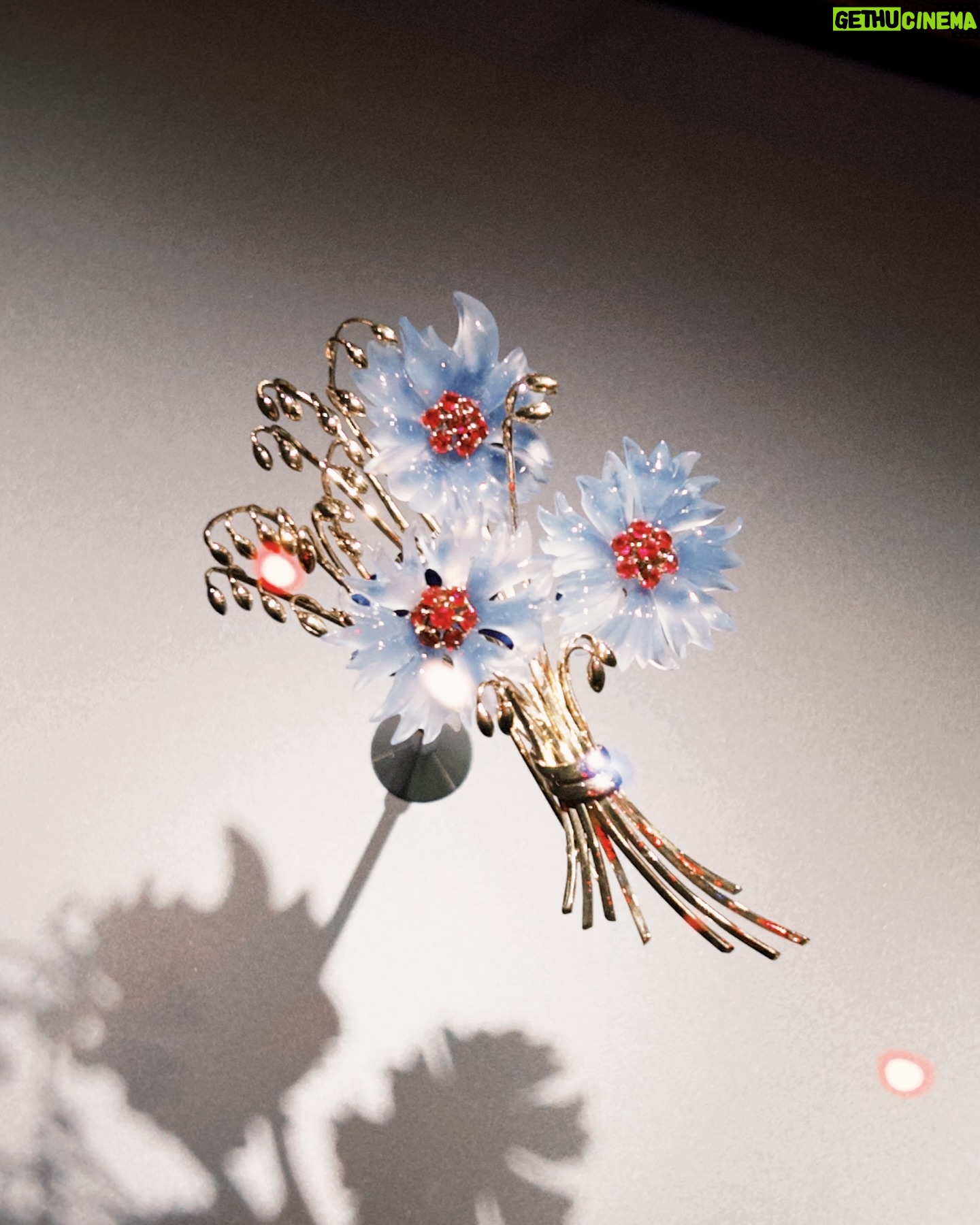 Phoebe Lin - 192 Likes - #vancleefarpels