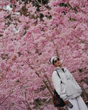 Phoebe Lin Instagram - 🌸
一個地方看好看滿走好走滿
真D讚
