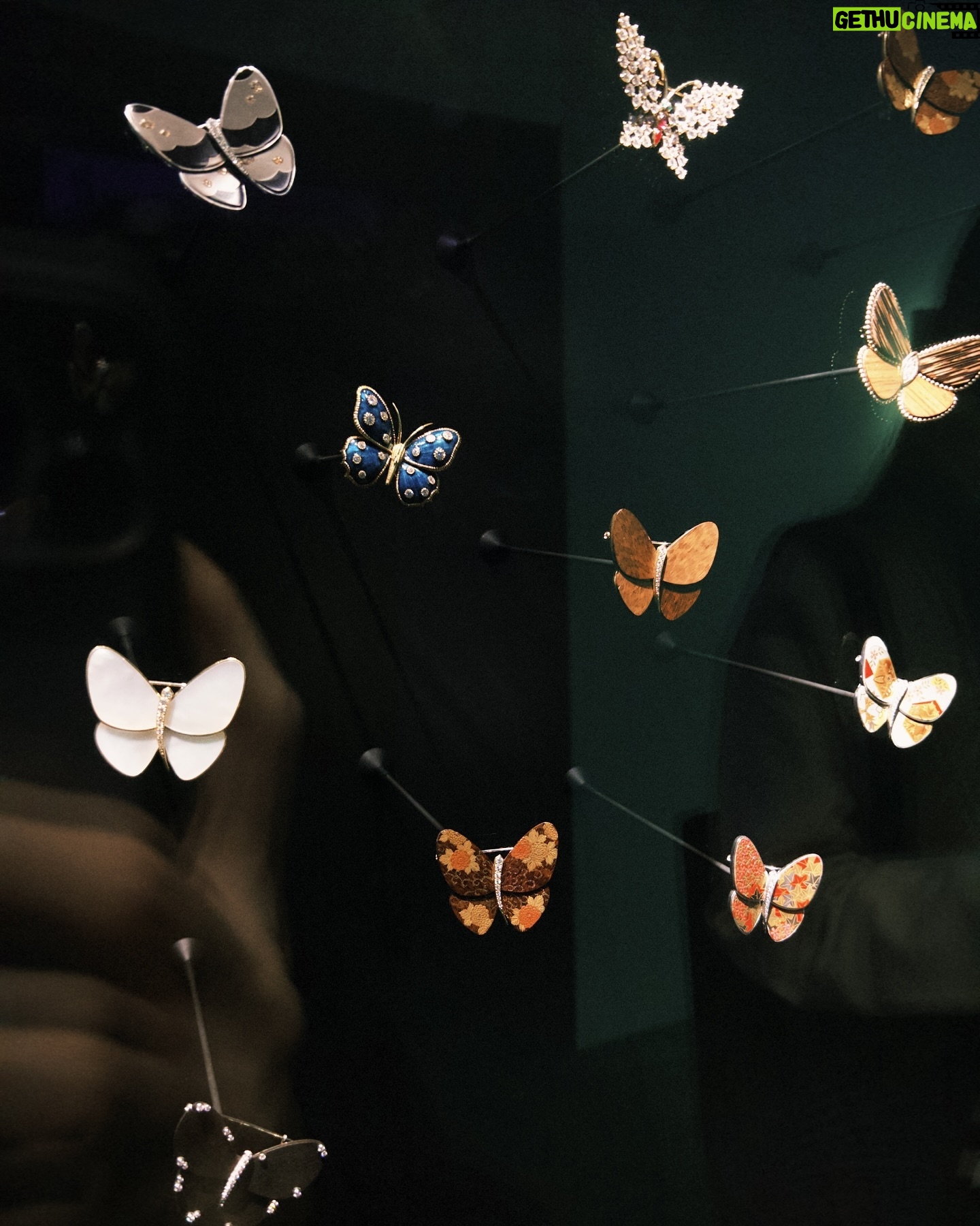 Phoebe Lin - 192 Likes - #vancleefarpels