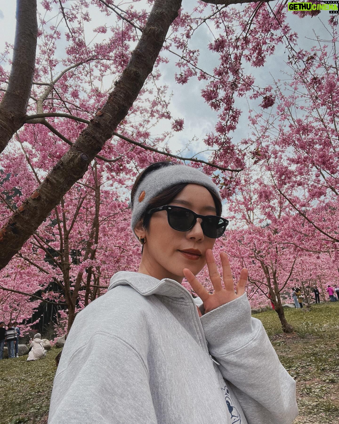 Phoebe Lin - 323 Likes - 🌸
一個地方看好看滿走好走滿
真D讚