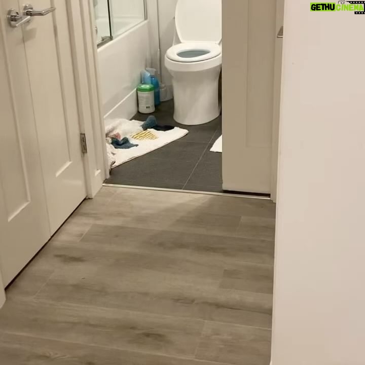 Phoebe Miu - 3 Likes - happy 3rd birthday to this kid.
world class nutjob, psycho killer of kitsilano, bane of my existence, light of my life ❤️
first pic of him smiling before getting dropped off at camp reminds me every day why I’m glad there was no return policy.
sound on for that last video.
