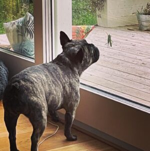 Pia Johansson Instagram - Ett möte. Tora & Bejamin