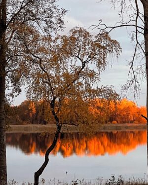 Pia Johansson Instagram - God morgon vackra söndag!
