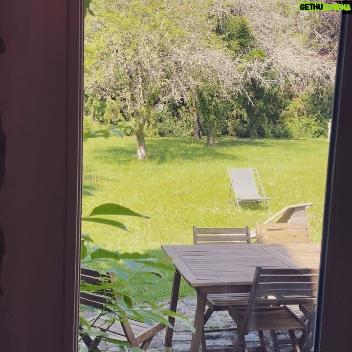Pierre Palmade - 4.3K Likes - J’ai oublié de vous dire …❤️