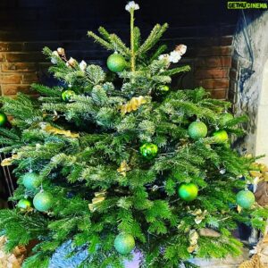 Pierre Palmade Instagram - Très fier de mon sapin de Noel ! 😃