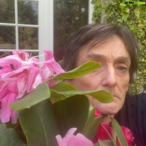 Pierre Palmade Instagram - Je suis une fleur …😃