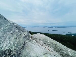 Pihla Viitala Instagram - Location scouting in Koli❤️ oh, mon Dieu❤️ kiitos @putskukettu @perttumutka ja EFFC ja @komeettafilmi & @sfstudios.se