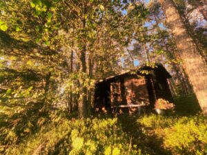 Pihla Viitala Instagram - Savusauna ja juhannus❤️Smoked sauna And Midnight sun 2024❤️