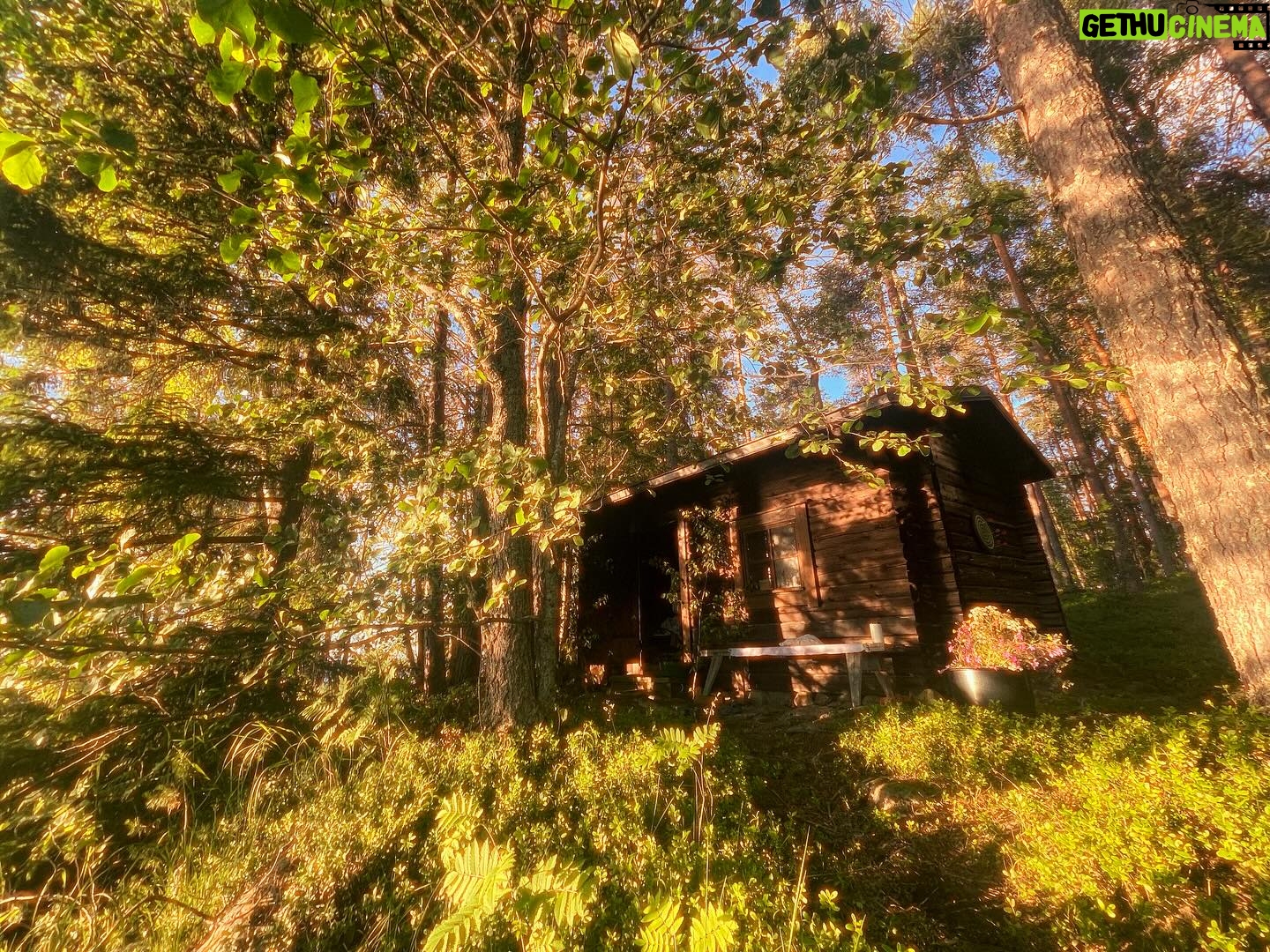Pihla Viitala - 1.3K Likes - Savusauna ja juhannus❤️Smoked sauna And Midnight sun 2024❤️