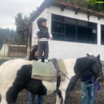 Plutarco Haza
