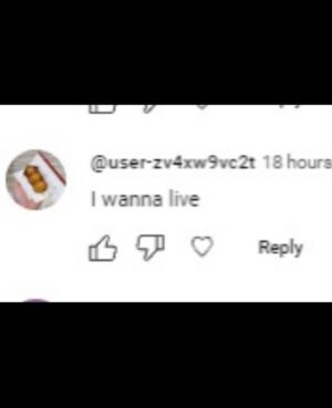Porter Robinson Instagram - the reviews are in