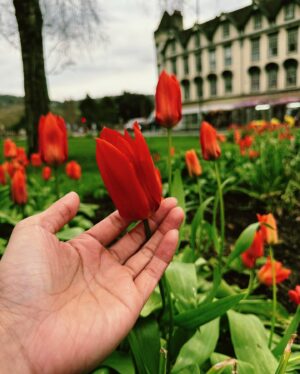 Pranapong Khaisang Instagram - ภาพรวม🫡