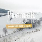 Přemek Forejt